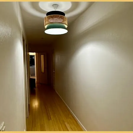 Appartement T4 Frontiere Geneve Gallard *