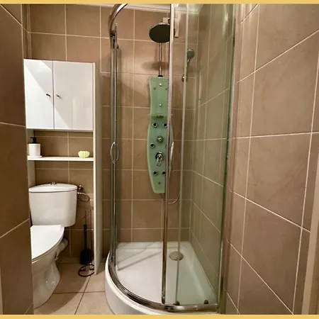 T4 Frontiere Geneve Gallard Appartement *